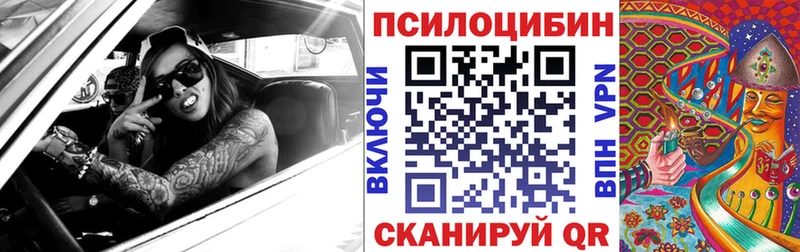 Псилоцибиновые грибы ЛСД  кракен ССЫЛКА  Чаплыгин 